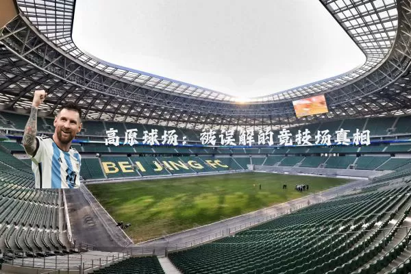 高原球场:被误解的竞技场真相